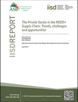 redd_private_sector_report.jpg