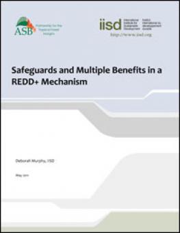 redd_safeguards.jpg