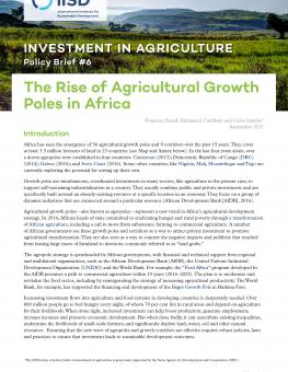 rise-agricultural-growth-poles-in-africa(10)-1.jpg