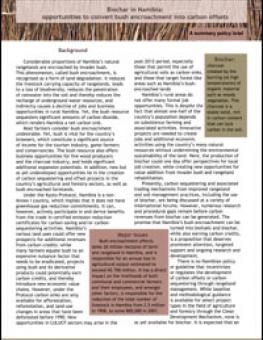 rtea_namibia_biochar.jpg