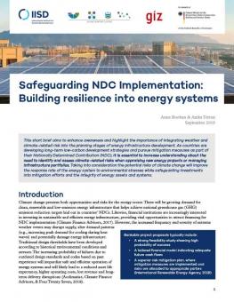 safeguarding-ndc-implementation-1.jpg