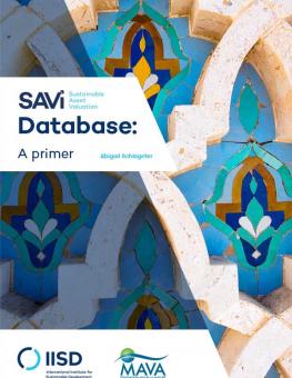 savi-database-primer-brochure-1.jpg