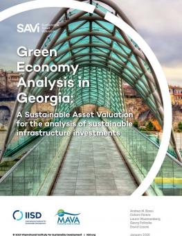 savi-green-economy-analysis-georgia-1.jpg