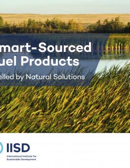 smart-sourced-fuel-products-brochure-web-en-1.jpg