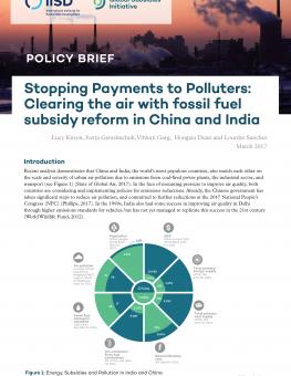 stopping-payments-polluters-ffs-reform-china-india-1.jpg