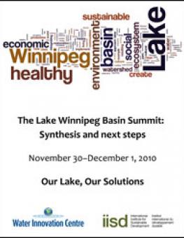 summit_2010_synthesis.jpg