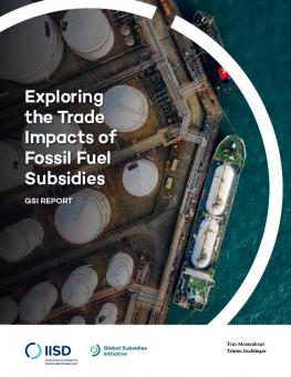 trade-impacts-fossil-fuel-subsidies-1.jpg