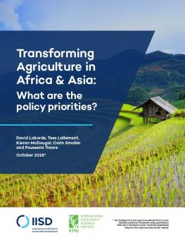 transforming-agriculture-africa-asia-1.jpg