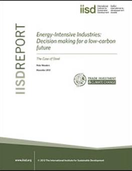 tricc_energy_intensive_industries_steel.jpg