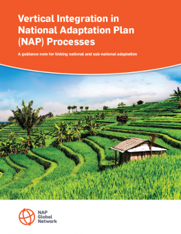 vertical-integration-nap-processes-guidance-note-2.png