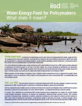 water_energy_food_policymakers_what_does_it_mean.jpg