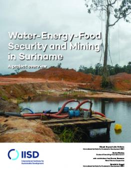 wef-summary-suriname.jpg