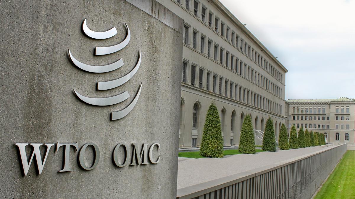 Implications of a Dysfunctional WTO Dispute System for Indian Industries and Investors