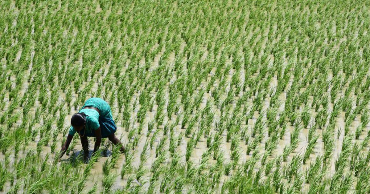 How Are Vulnerable Countries Adapting to Climate Change ...