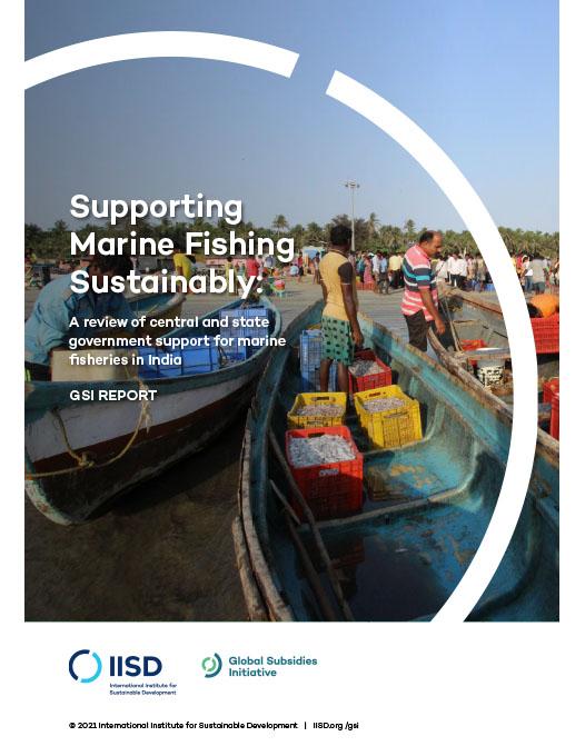 Supporting Marine Fishing Sustainably: A review of central and state  government support for marine fisheries in India