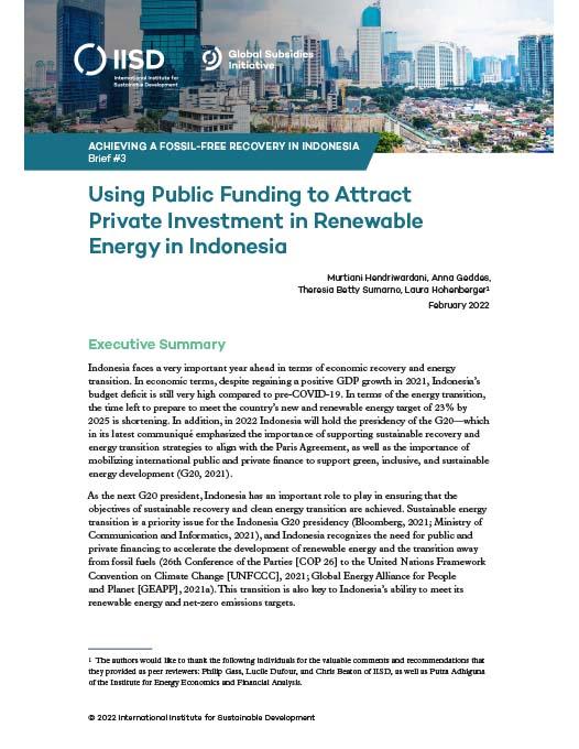 Menggunakan dana publik untuk menarik investasi swasta dalam energi terbarukan di Indonesia