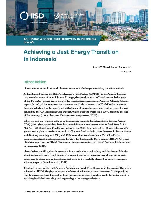 Achieving a Just Energy Transition in Indonesia - Vimarsana News