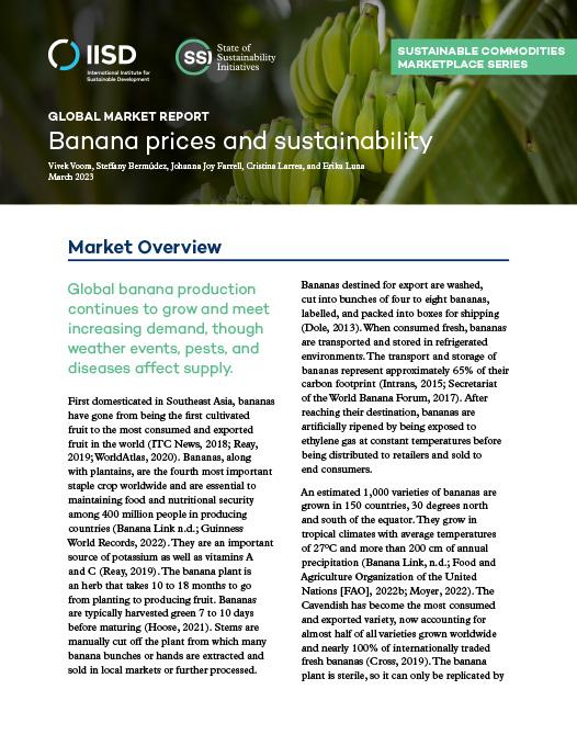 Global Market Report: Banana prices and sustainability | International ...