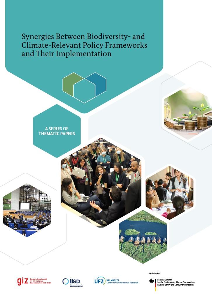 Synergies Between Biodiversity And Climate Policy Frameworks A Series