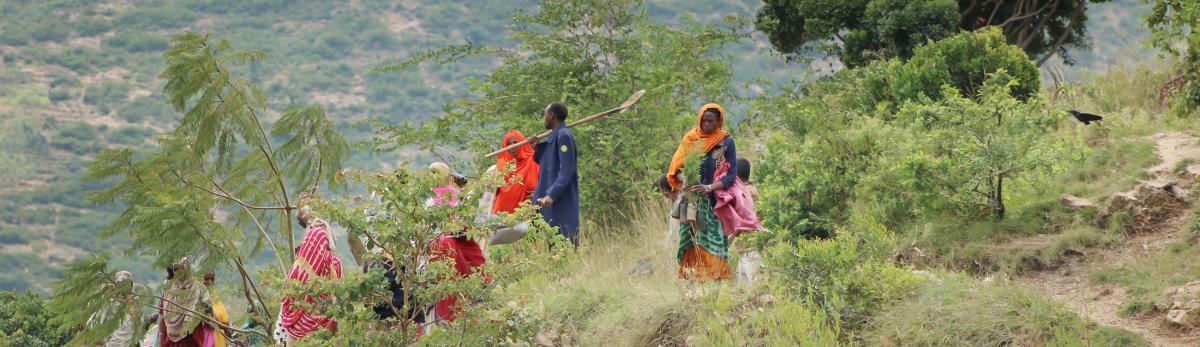 SUNCASA Dechatu River Restoration — Nature-Based Flood & Water-Security Programme, Dire Dawa