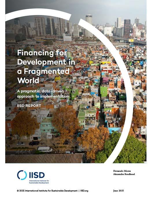 Financing for Development in a Fragmented World | International ...
