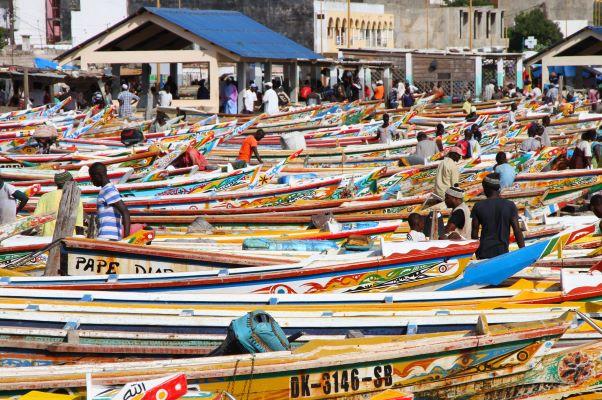 Exploring Senegal’s PSE: Top Sectors and Investment Opportunities