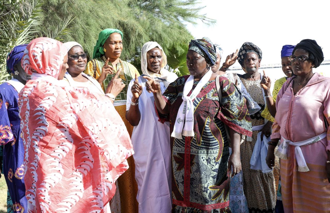 Image source - https://www.iisd.org/articles/explainer/key-takeaways-gender-responsive-mangrove-restoration-senegal