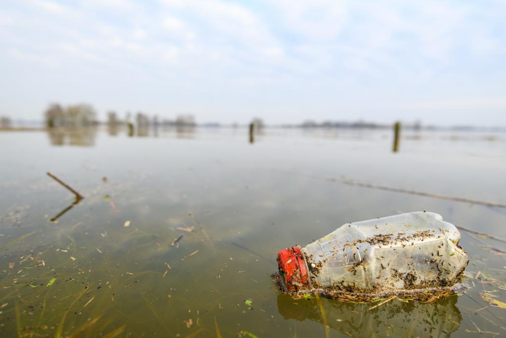 An empty plastic bottle floats in a brown lake