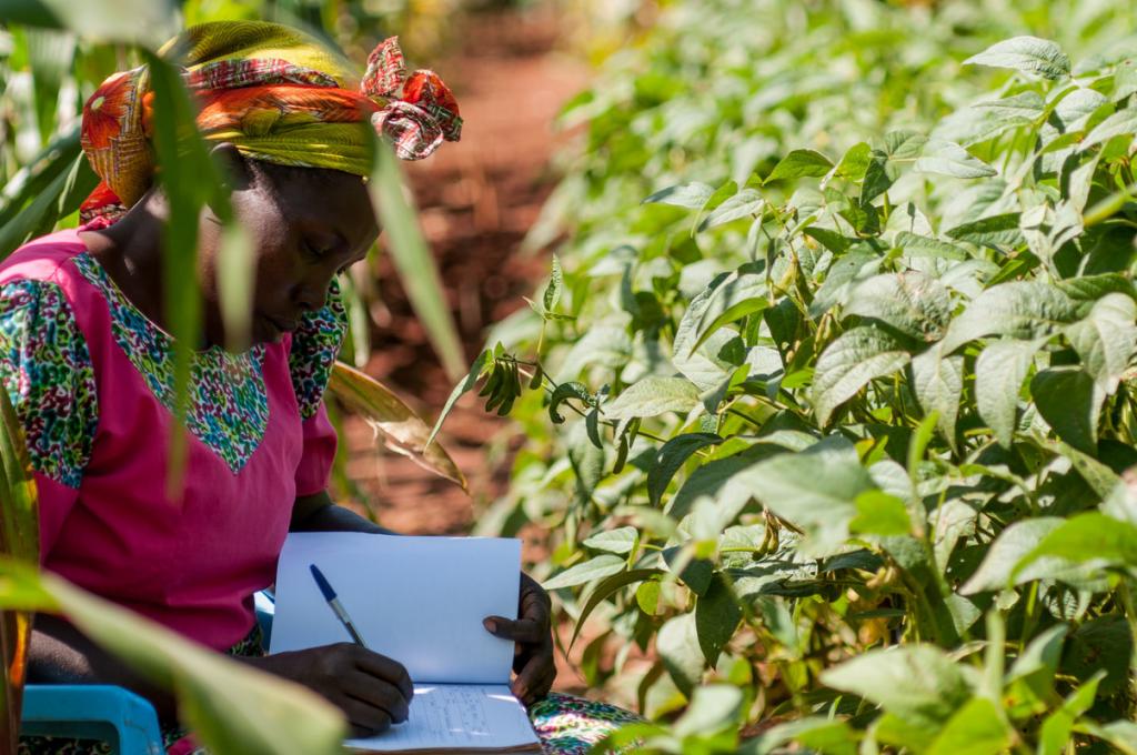 A Kenyan woman in a head scarf writes in a notebook while crouched down in a farmer's field