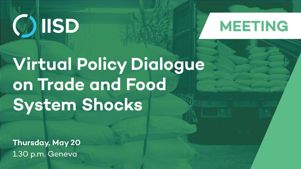 Virtual Policy Dialogue on Trade and Food System Shocks: Webinar Meeting Image