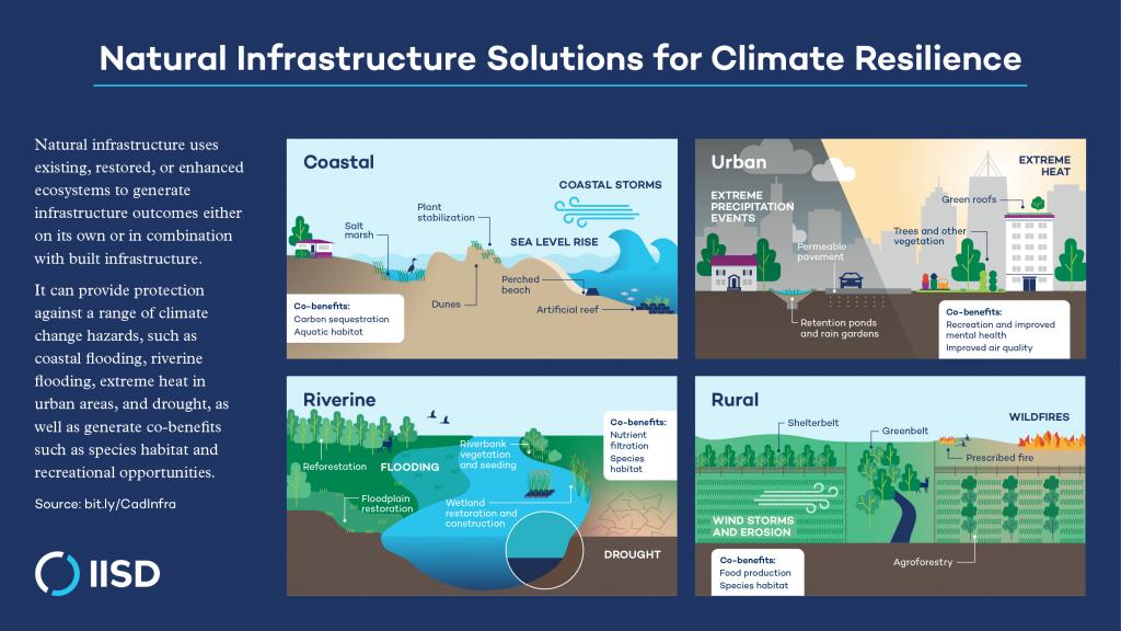 infographic-natural-infrastructure-solutions-canada-full