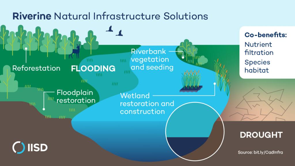 infographic-natural-infrastructure-solutions-canada-riverine