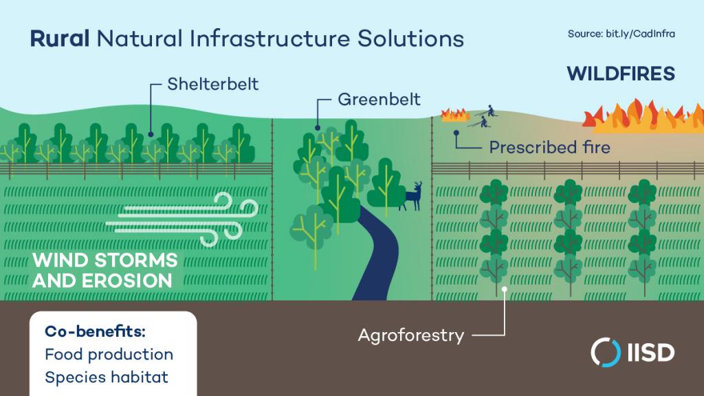 infographic-natural-infrastructure-solutions-canada-rural