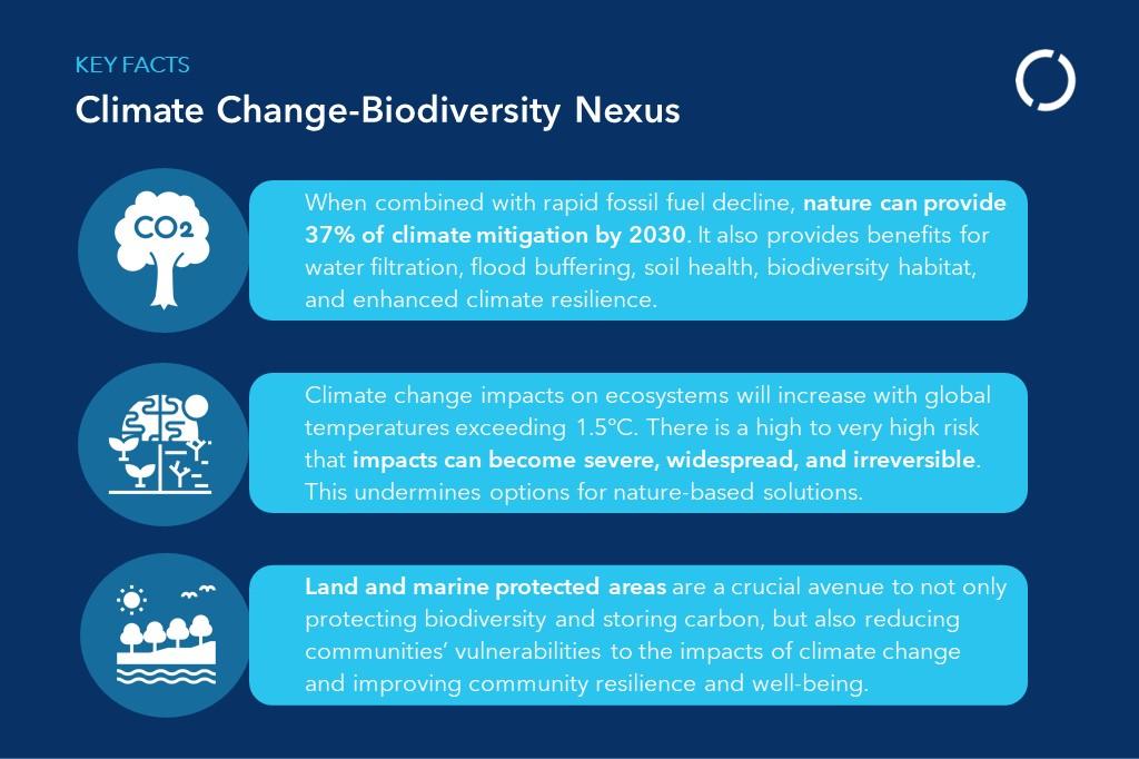 Key facts about the climate and biodiversity nexus