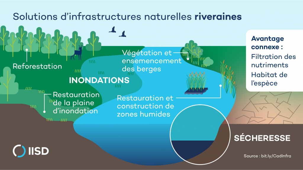 Solutions d'infrastructure naturelle riveraine