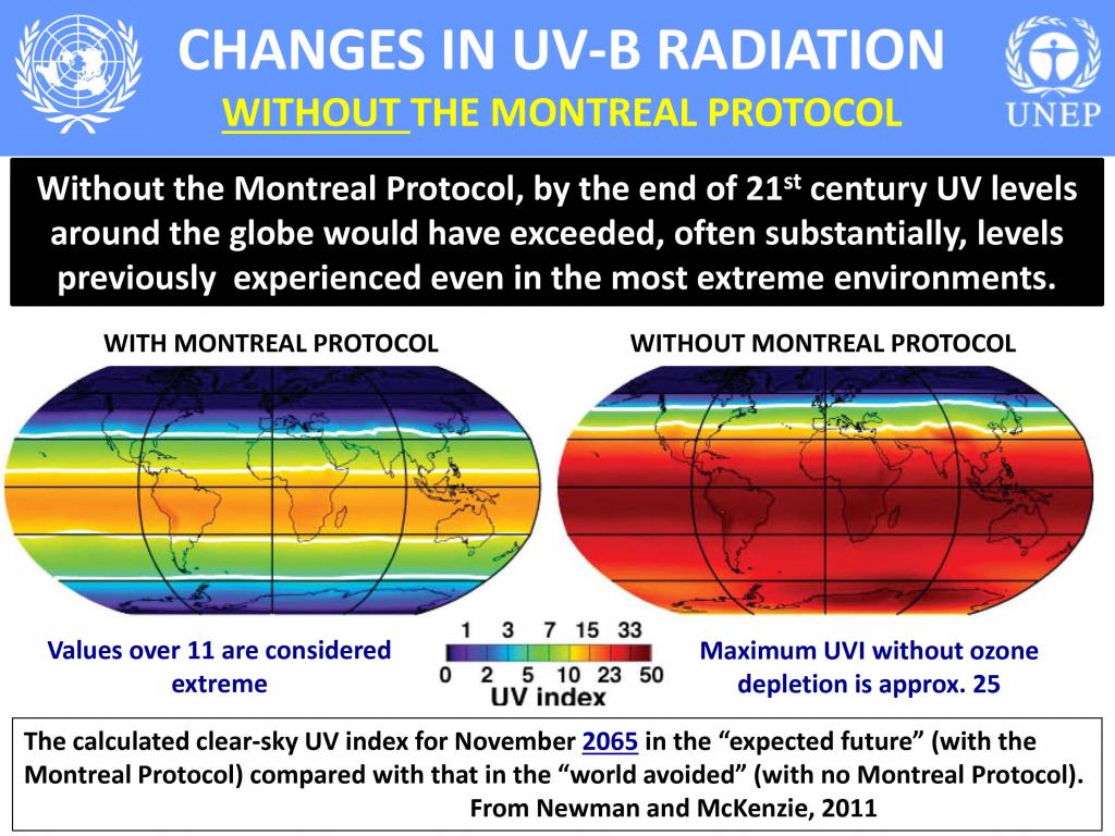 UV-B projections without Montreal Protocol