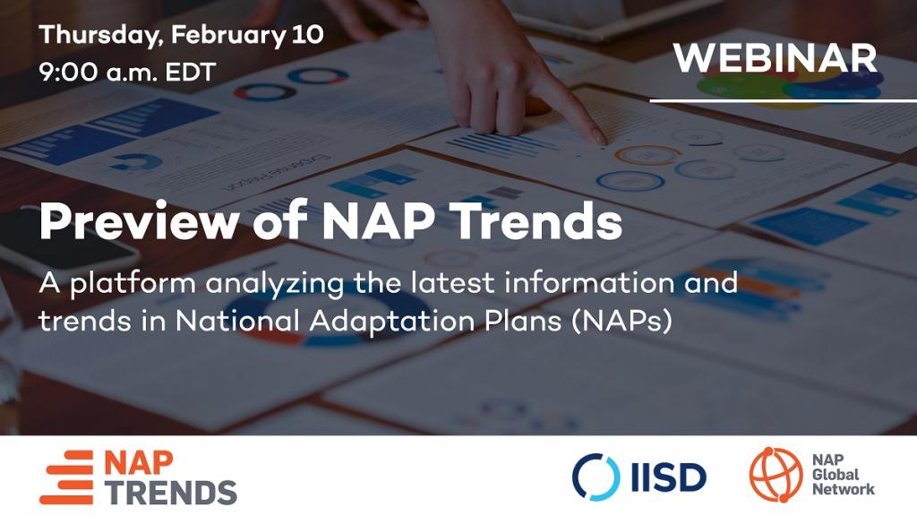 Card - Sof launch of the NAP Trends platform