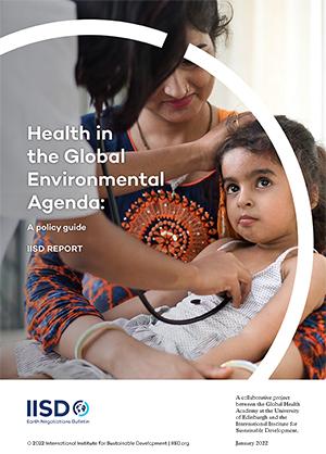 Health in the Global Environmental Agenda