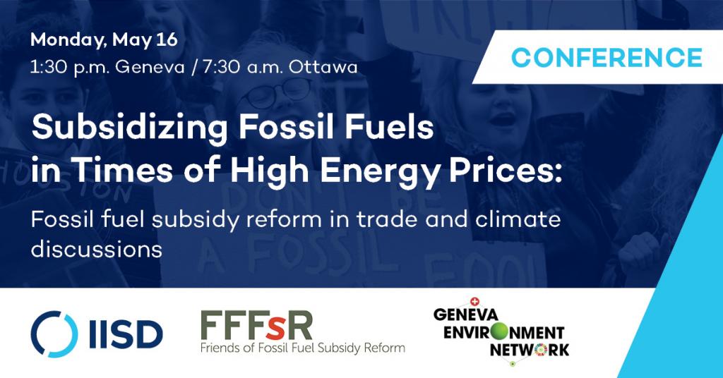 Subsidizing Fossil Fuels in Times of High Energy Prices, event card for May 16, 2022.