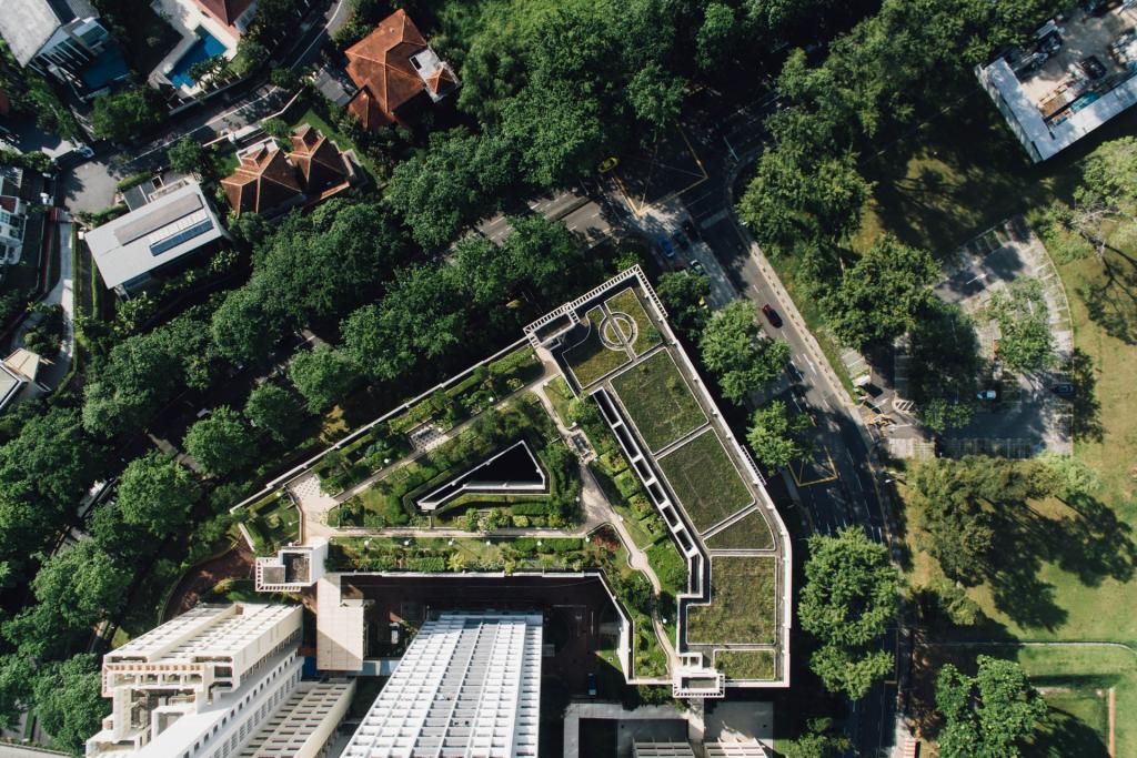 Green roofs in Singapore