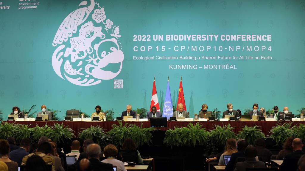 View of the dais during the COP 15 plenary on December 5, 2022