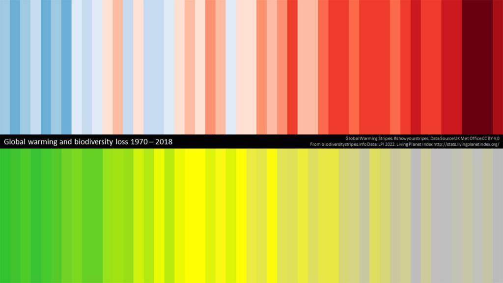 Two rows of vertical stripes showing global warming and biodiversity loss from 1970-2018