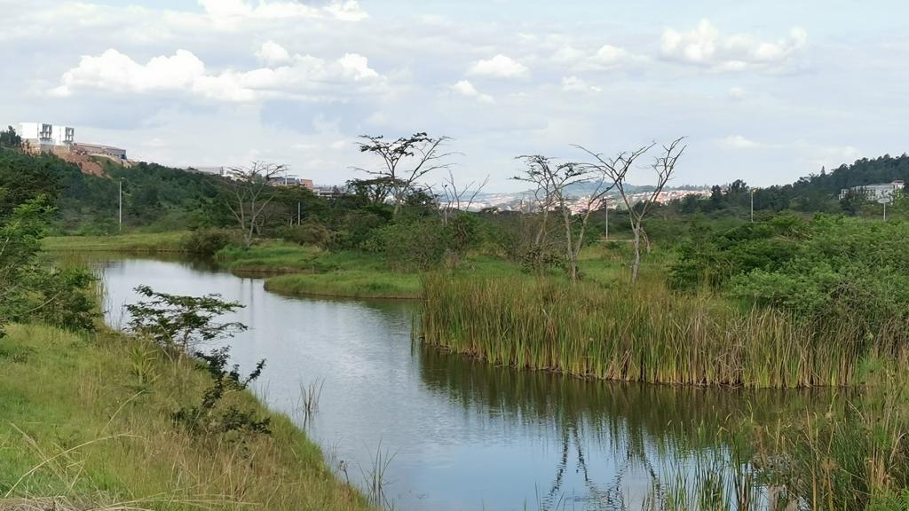 Nyandungu wetland park in Rwanda