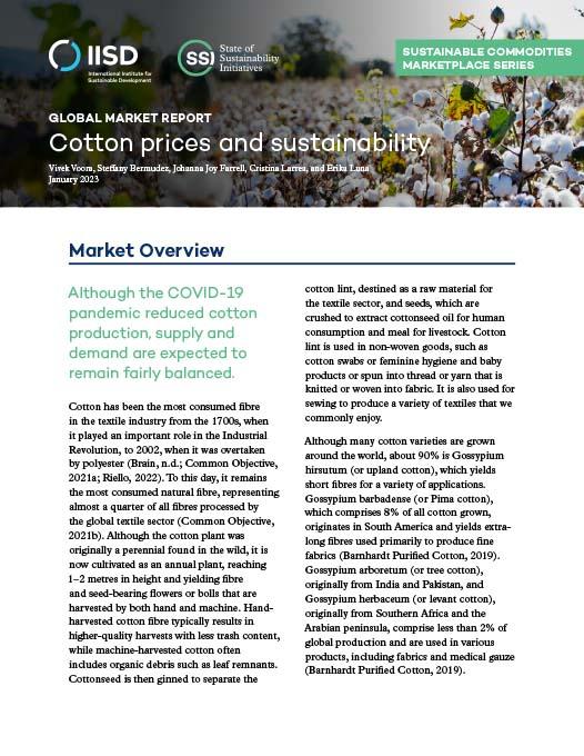 Global Market Report: Cotton prices and sustainability report cover