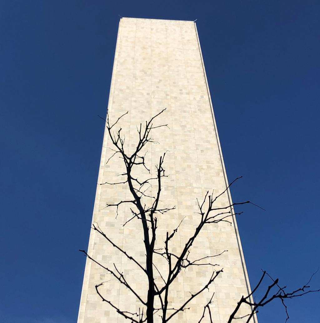 A tree in front of the United Nations headquarters in New York City
