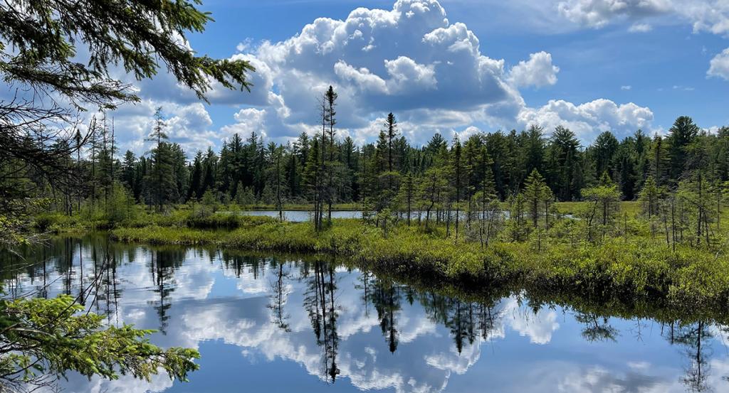 lake and trees in Algonquin Park, Ontario