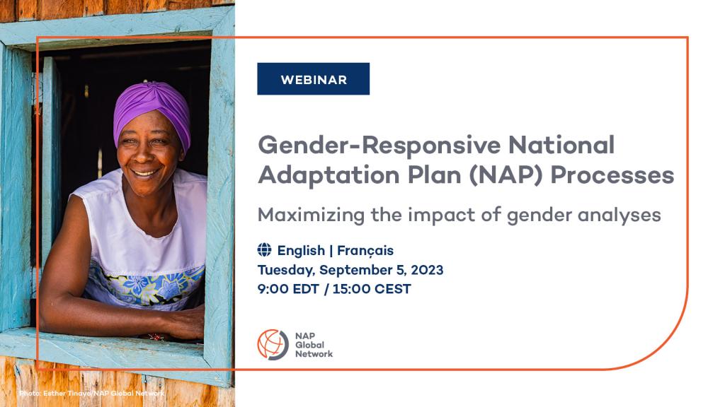 Woman in window, webinar card: Gender-responsive National Adaptation Plan (NAP) processes: Maximizing the impact of gender analyses