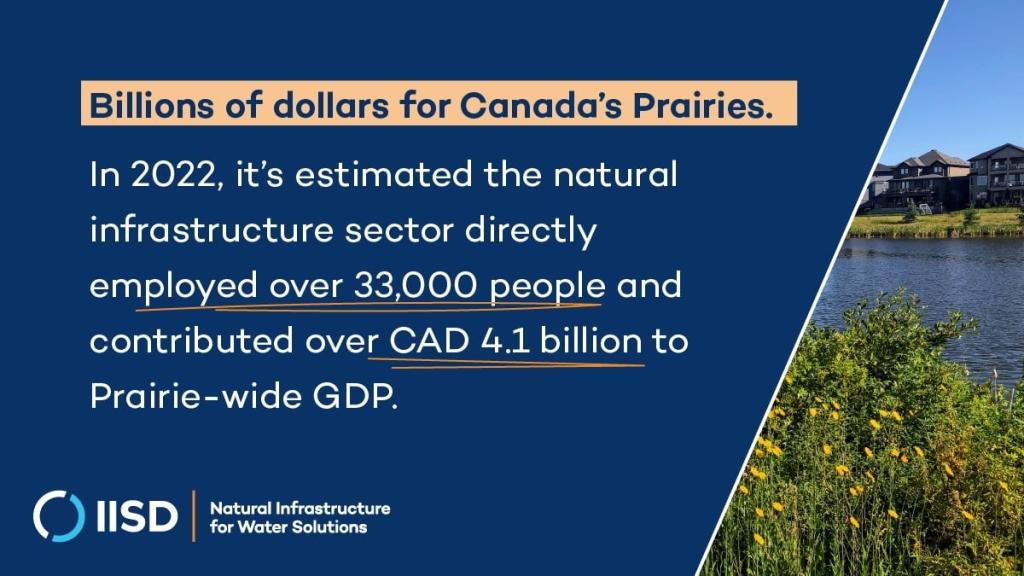 Billions of dollars for Canada's Prairies. In 2022, it's estimated the natural infrastructure sector directly employed over 33,000 people and contributed over CAD 4.1 billion to Prairie-wide GDP.