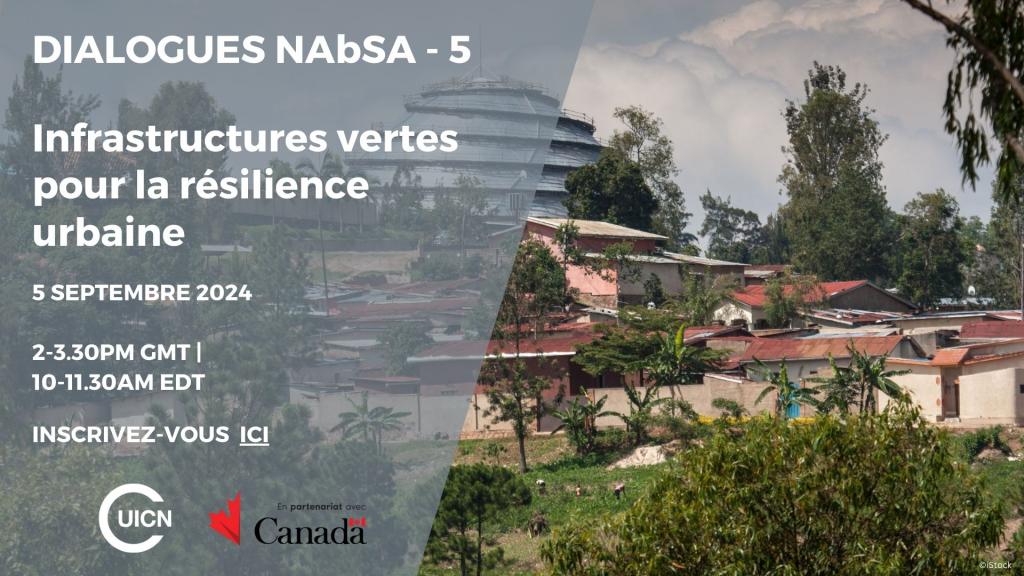 NAbSA Dialogues - French Social Media card.