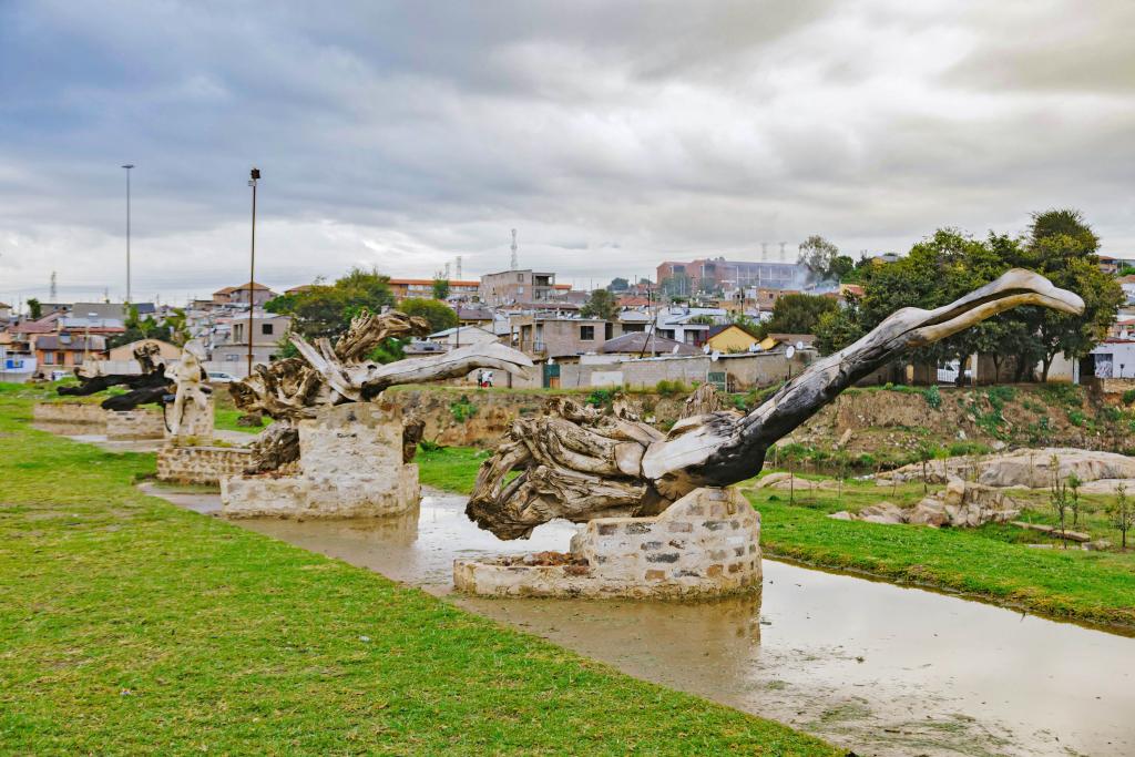 SUNCASA | Birds sculptures made of logs from the Jukskei River in Johannesburg.